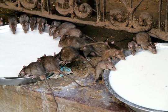 Tour image 2
