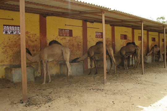 Tour image 3