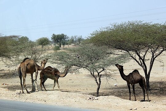 Tour image 2