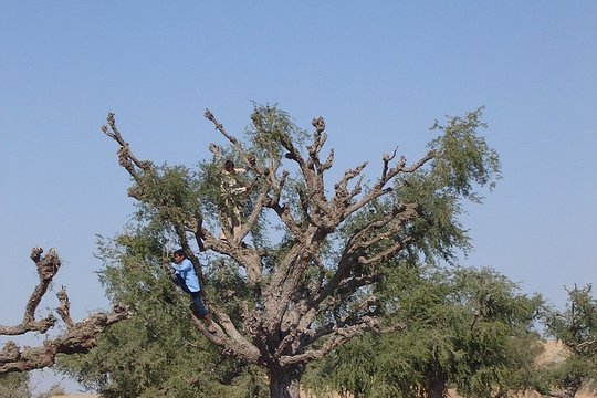 Tour image 5