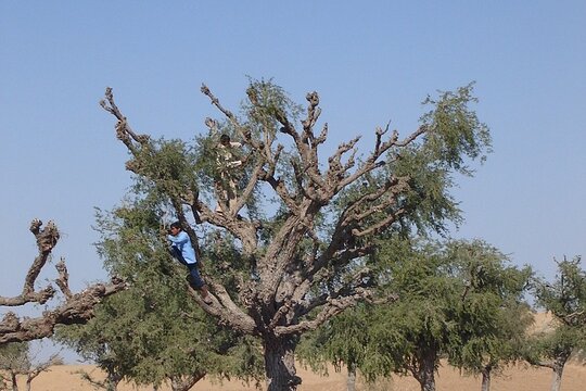 Tour image 5