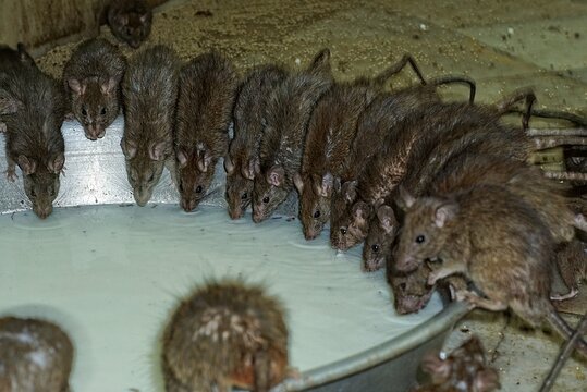 Tour image 5