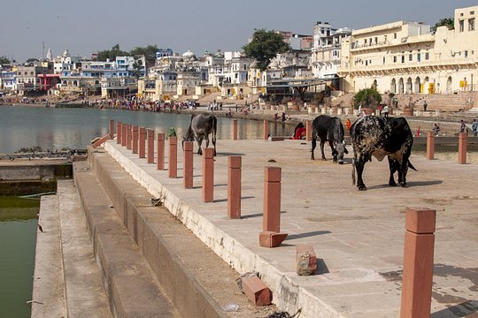 Tour image 5